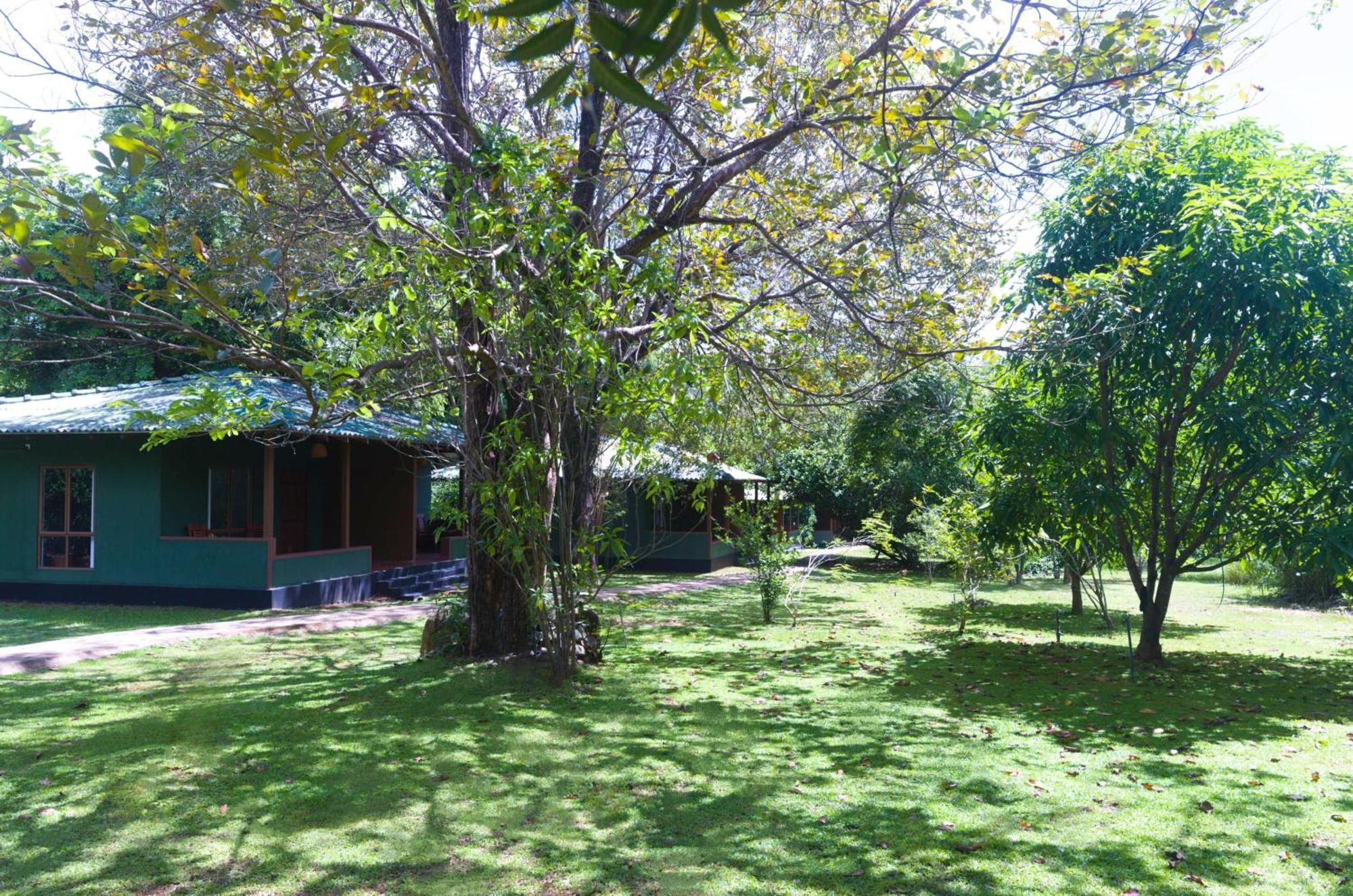 Pinthaliya Resort Szigirija Kültér fotó