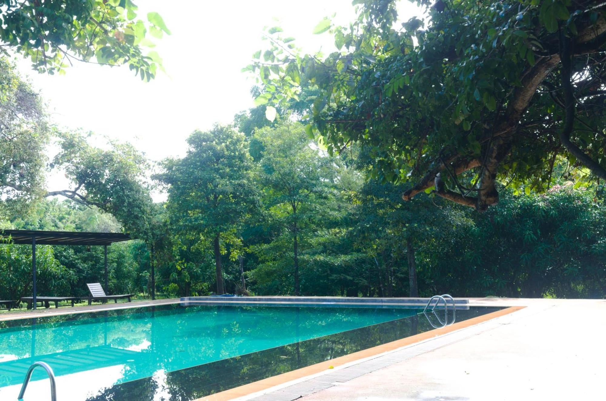 Pinthaliya Resort Szigirija Kültér fotó